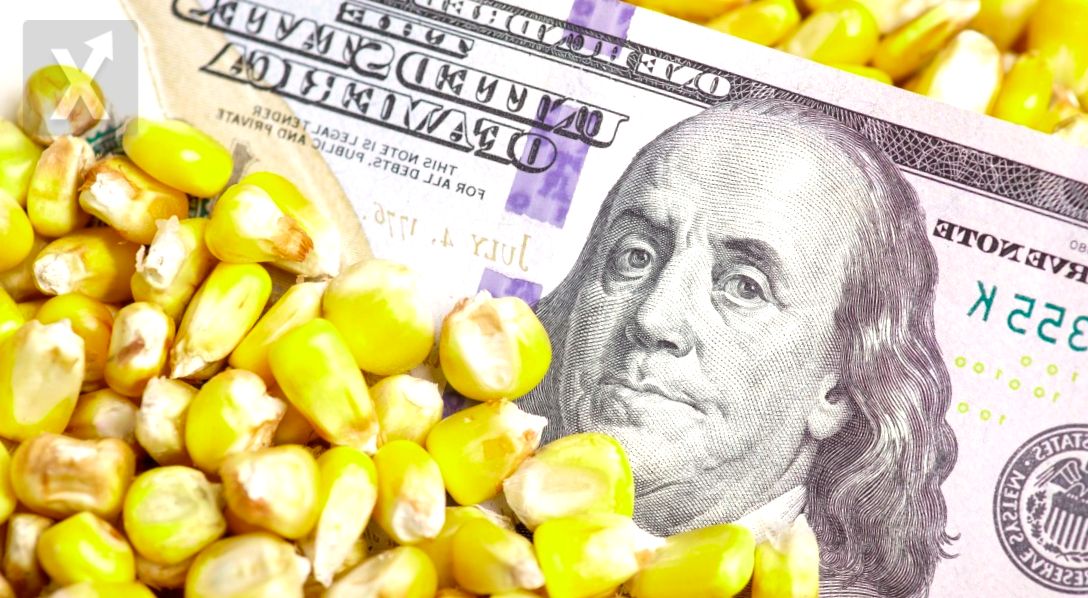 Baja en los Precios Globales de Alimentos: Análisis de la FAO para 2024