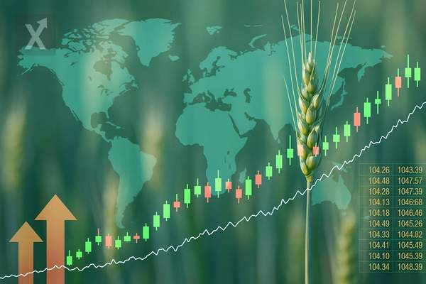 Global rise in food and f